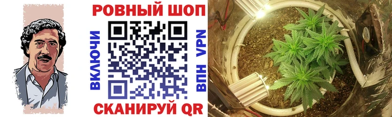 Купить наркотик Североморск ГАШИШ  Амфетамин  Alpha PVP  Меф мяу мяу  Бошки Шишки 